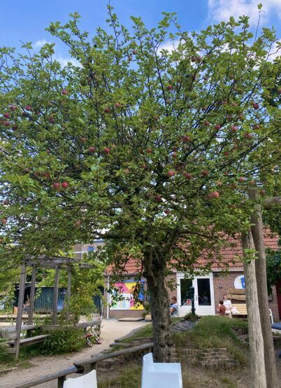 eetbare bomen en planten in speeltuin 't kraaienest